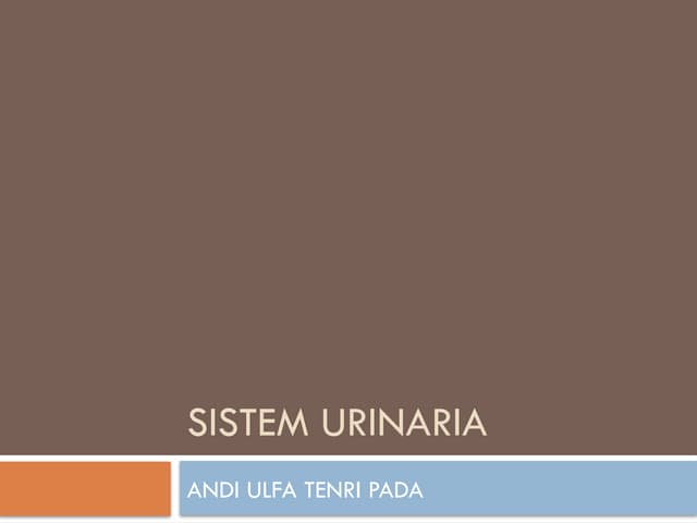 SISTEM URINARIA pada manusia fisiologi dan anatomi