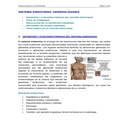 Sistema endocrino (generalidades)