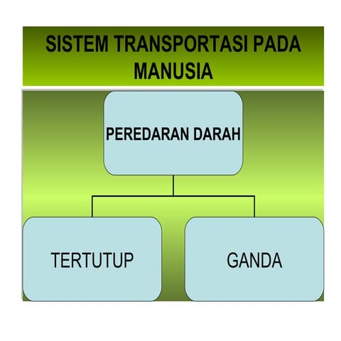 Sist transport prest