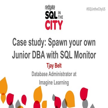 Case study: Spawn your own Junior DBA with SQL Monitor