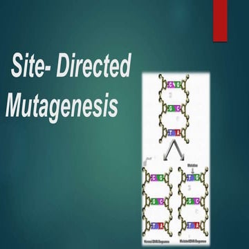 Site  directed mutagenesis