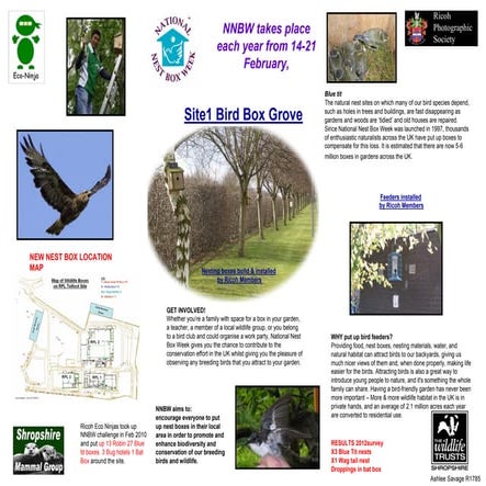 Site 1 bird box grove