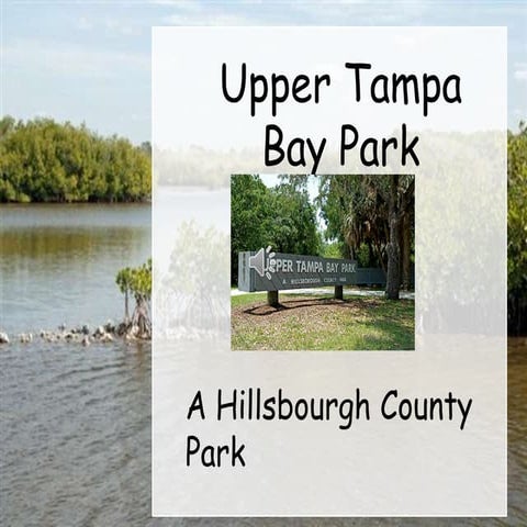 Site exploration-Upper Tampa Bay Park