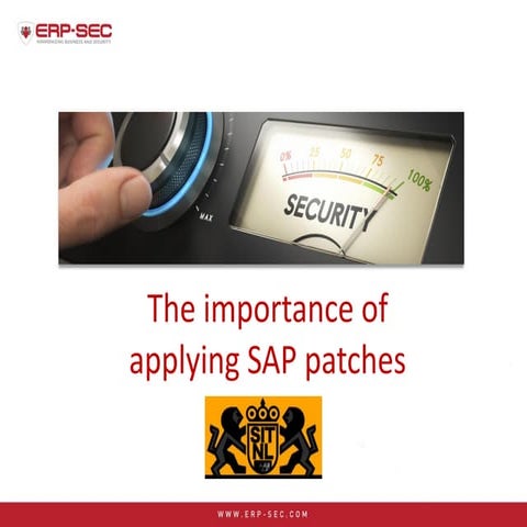 The importance of applying SAP patches (Joris van de Vis)