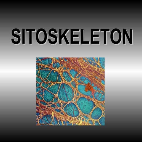 Sitoskeleton 2