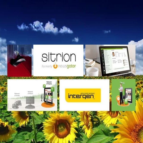 In the Fight for Survival, The Social Company Wins