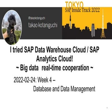 Sit tokyo2022 sac/dwc Big data real-time cooperation 