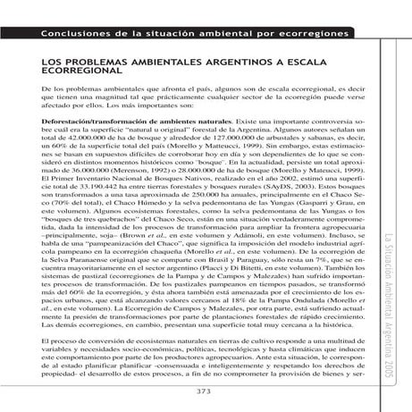 SituacióN Ambiental Por Ecorregiones