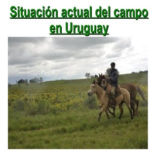 Situacion actual del campo en Uruguay