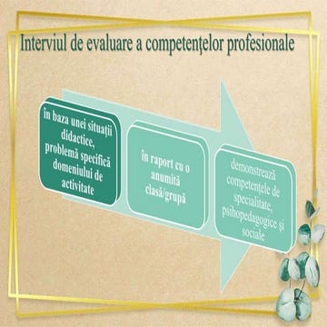 Interviul de evaluare a competenţelor profesionale