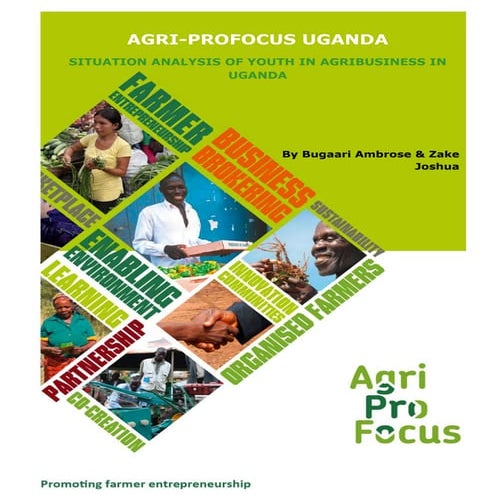 Situation Analysis of Youth in Agribusiness in Uganda