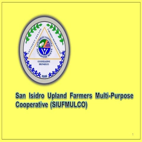 Case presentation - Strong Market Orientation (SIUFMULCO)