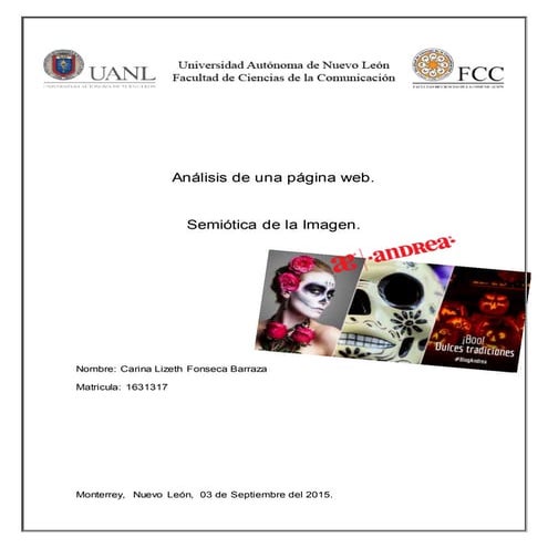 Analisis de una pagina web.