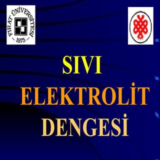 Sivi elektrolit