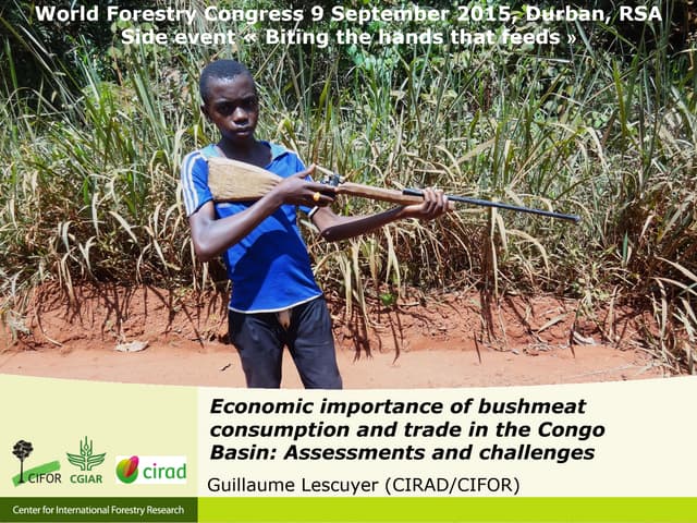 Economic importance of bushmeat consumption and trade in the Congo Basin: Assessments and challenges 