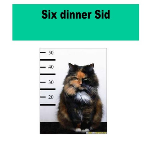 Six dinner sid by aratz and aner