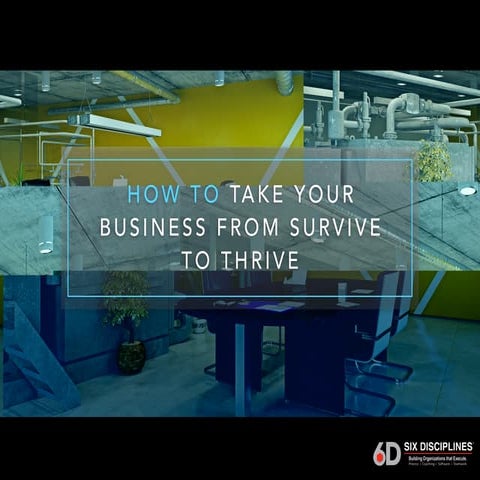 How To Take Your Business From Survive To Thrive | PDF