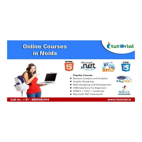 Six month industrial training in css