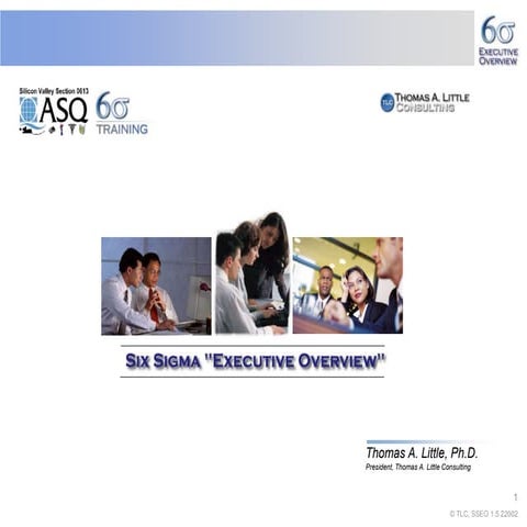 Six Sigma Exec Overview of project.ppt