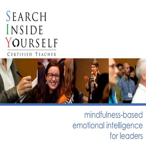 Search Inside Yourself (Mindfulness Based Emotional Intelligence)