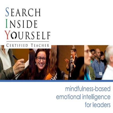 Search Inside Yourself (Mindfulness-Based Emotional Intelligence)
