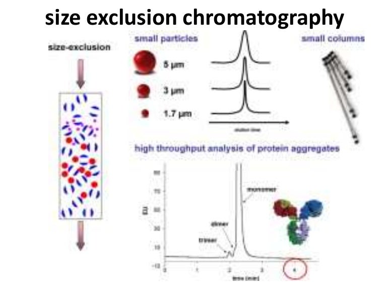 Size exclusion chromatography