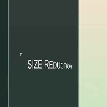 Comprehensive Overview of Size Reduction Techniques and Hammer Mill ...