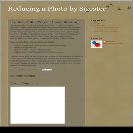 How to use faststone photo resizer | PPSX