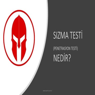 Sızma Testi (Penetrasyon Testi) Nedir? - Sparta Bilişim