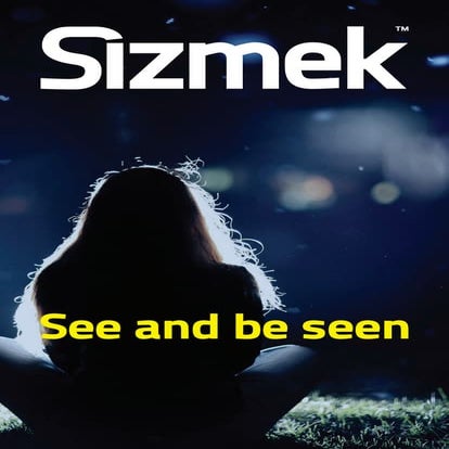 Sizmek company profile 2014