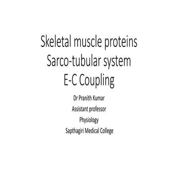 Excitation contraction coupling presentation | PPTX