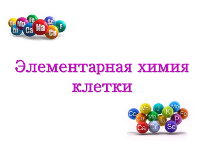 «Элементарная химия клетки» 