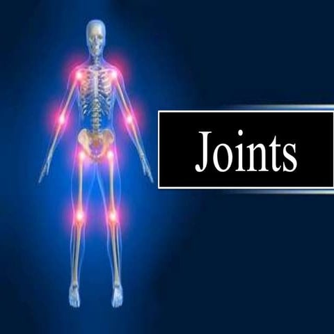 Skeletal System of Human Body