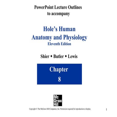 Skeletal System Lecture