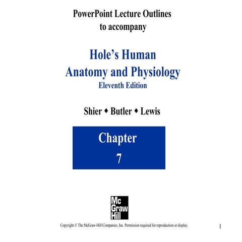 Skeletal System Pictures