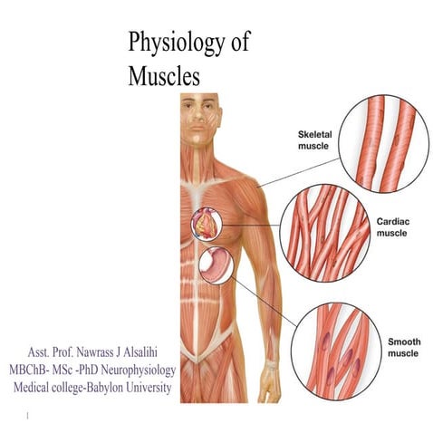 skeletal muscle.pdf