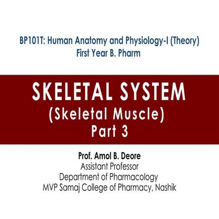 Skeletal Muscle First Year B Pharm Semester 1.pptx