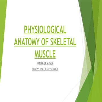 SKELETAL MUSCLE CONTRACTION GUYTON ppt skeletal muscle