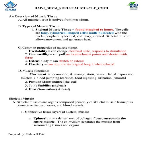 Skeletal Muscle Physiology of Muscle Contraction _RDP | PDF