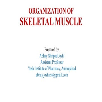 Skeletal muscles