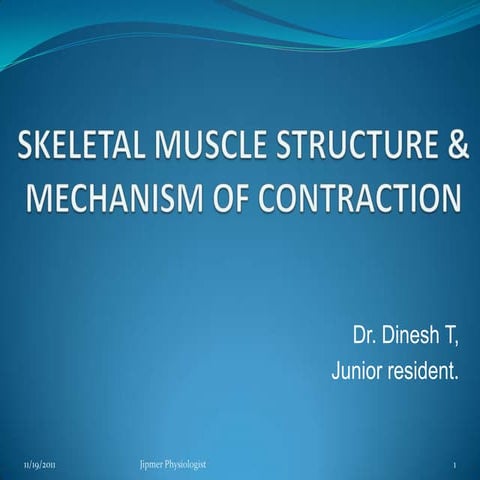 Skeletalmusclestructurefunction09 11-2011-111120005142-phpapp01