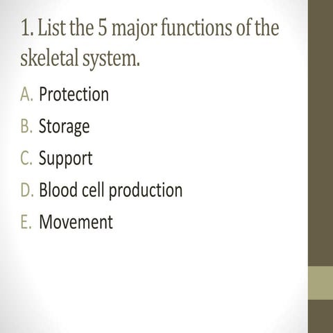 Skeletal  muscular study guide answers (002)