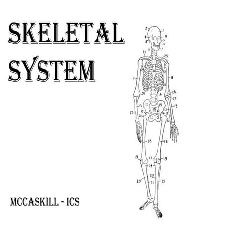 Skeletalsystem