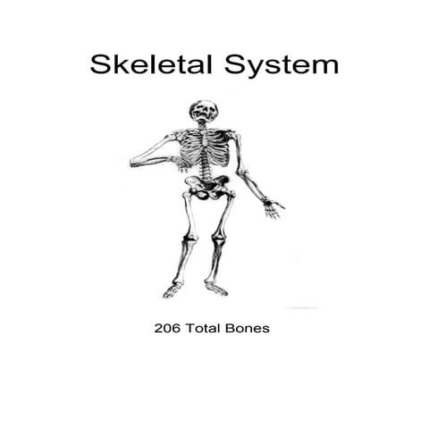 Skeletal system