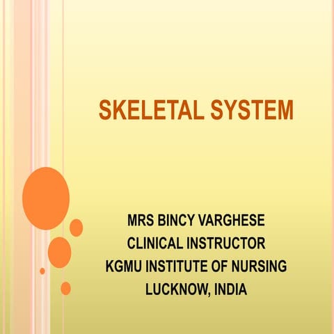 Skeletal system