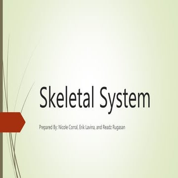 Skeletal system