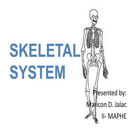 Skeletal system