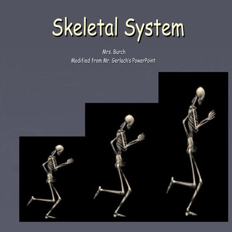 Skeletal System