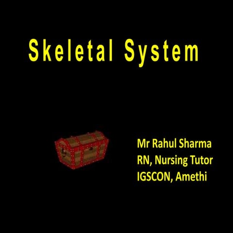 Skeletal System