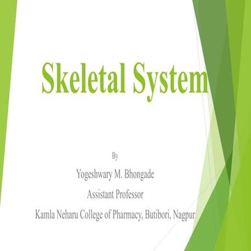 Skeletal system